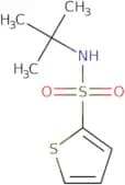 N-tert-Butyl-2-thiophenesulfonamide