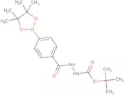 tert-Butyl 2-(4-(4,4,5,5-tetramethyl-1,3,2-dioxaborolan-2-yl)benzoyl)hydrazinecarboxylate
