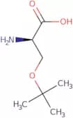 O-tert-Butyl-D-serine