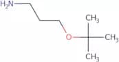1-tert-Butoxy-3-propylamine