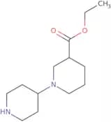 [1,4']Bipiperidinyl-3-Carboxylic Acid Ethyl Ester