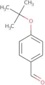 4-tert-Butoxybenzaldehyde