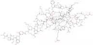 CART (55-102) (human) trifluoroacetate salt