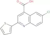 6-Chloro-2-thien-2-ylquinoline-4-carboxylic acid