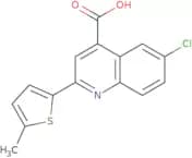 6-Chloro-2-(5-methylthien-2-yl)quinoline-4-carboxylic acid