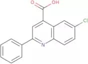 6-Chloro-2-phenylquinoline-4-carboxylic acid