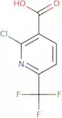 2-Chloro-6-trifluoromethylnicotinic acid