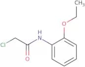 2-Chloro-N-(2-ethoxyphenyl)acetamide