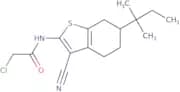 2-Chloro-N-[3-cyano-6-(1,1-dimethylpropyl)-4,5,6,7-tetrahydro-1-benzothien-2-yl]acetamide