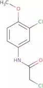 2-Chloro-N-(3-chloro-4-methoxyphenyl)acetamide