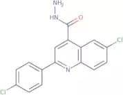 6-Chloro-2-(4-chlorophenyl)quinoline-4-carbohydrazide