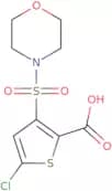 5-Chloro-3-(morpholin-4-ylsulfonyl)thiophene-2-carboxylic acid