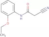 2-Cyano-N-(2-ethoxyphenyl)acetamide