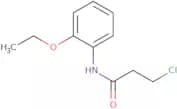 3-Chloro-N-(2-ethoxyphenyl)propanamide