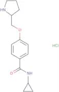 N-Cyclopropyl-4-(pyrrolidin-2-ylmethoxy)benzamide hydrochloride