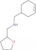 (Cyclohex-3-en-1-ylmethyl)(tetrahydrofuran-2-ylmethyl)amine