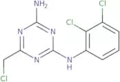 6-(Chloromethyl)-N-(2,3-dichlorophenyl)-1,3,5-triazine-2,4-diamine