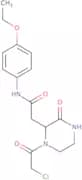 2-[1-(Chloroacetyl)-3-oxopiperazin-2-yl]-N-(4-ethoxyphenyl)acetamide