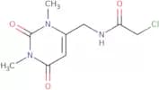 2-Chloro-N-[(1,3-dimethyl-2,6-dioxo-1,2,3,6-tetrahydropyrimidin-4-yl)methyl]acetamide