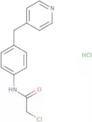 2-Chloro-N-[4-(pyridin-4-ylmethyl)phenyl]acetamide hydrochloride