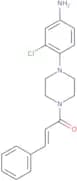 [3-Chloro-4-(4-cinnamoylpiperazin-1-yl)phenyl]amine