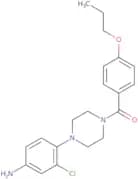 {3-Chloro-4-[4-(4-propoxybenzoyl)piperazin-1-yl]phenyl}amine