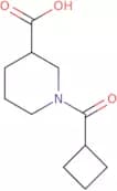 1-(Cyclobutylcarbonyl)piperidine-3-carboxylic acid