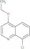 8-Chloro-4-ethoxyquinoline