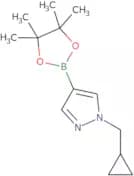 1-(Cyclopropylmethyl)-4-(4,4,5,5-tetramethyl-1,3,2-dioxaborolan-2-yl)-1H-pyrazole