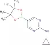 2-Cyclopropylaminopyrimidine-5-boronic acid, pinacol ester