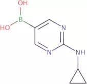 2-(CyclopropylaMino)pyriMidine-5-boronic acid