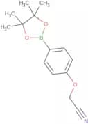 4-Cyanomethoxyphenylboronic acid, pinacol ester
