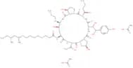 Caspofungin acetate
