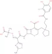 Cefiderocol