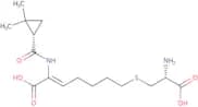Cilastatin