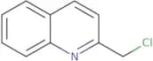 2-ChloromethylQuinoline