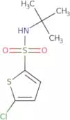 5-Chloro-N-tert-butyl-2-thiophene-sulfonamide