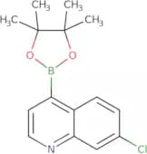 7-Chloroquinoline-4-boronic acid pinacol ester