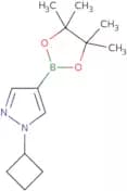 1-Cyclobutyl-4-(4,4,5,5-tetramethyl-1,3,2-dioxaborolan-2-yl)-1H-pyrazole