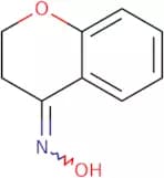 Chroman-4-One Oxime