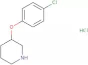 3-(4-Chlorophenoxy)Piperidine Hydrochloride