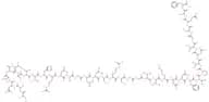 Calcitonin Gene Related Peptide, rat
