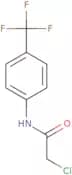 2-Chloro-N-[4-(trifluoromethyl)phenyl]acetamide