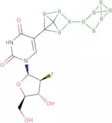 5-O-Carboranyl-1-(2-Deoxy-2-Fluoro-β-D-Arabinofuranosyl)Uracil