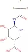 (3S,4S,5R,6R)-4,5-Dihydroxy-6-[(2,2,2-trifluoroacetyl)amino]piperidine-3-carboxylic acid