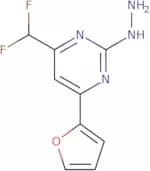 4-(Difluoromethyl)-6-(2-furyl)-2-hydrazinopyrimidine