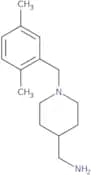 [1-(2,5-Dimethylbenzyl)piperidin-4-yl]methylamine