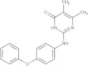 5,6-Dimethyl-2-[(4-phenoxyphenyl)amino]pyrimidin-4(3H)-one