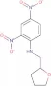 (2,4-Dinitrophenyl)(tetrahydrofuran-2-ylmethyl)amine