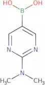 [2-(Dimethylamino)-5-pyrimidinyl]boronic acid